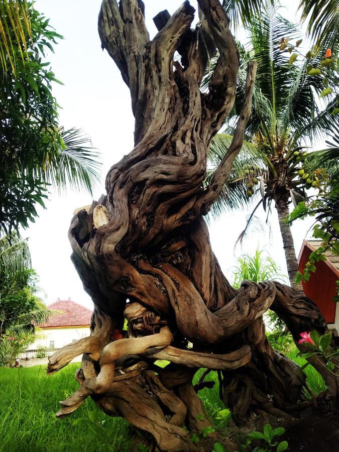 Coconut Gili Meno Otel Dış mekan fotoğraf